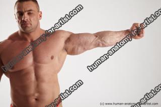 various reference of gene 16